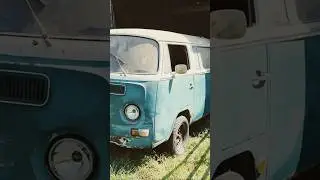 first rays of sunshine for this Vintage VW Bus in 30 years. #volkswagen #vwbus #baywindow