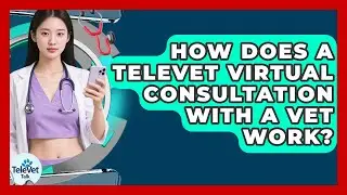 How Does A TeleVet Virtual Consultation With A Vet Work? - TeleVet Talk