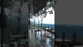 Forest 101 in Marilaque Highway