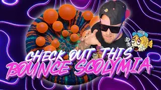 DESIGNER CORAL MUTATION? This BOUNCE Will Blow Your Mind.