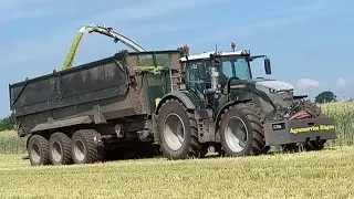 Agrarcervice Rügen Roggen GPS Claas Jaguar 990 TT.Fendt 942/728/720,Krampe,Krone TX,Demler,Cl.Cargos