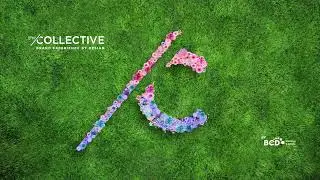 The Collective by BCD M&E Summer Teaser