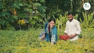 GREEN TRAILS । episode -04 #farming #ecofriendly #vegetables#RMTP #PKSF #danida