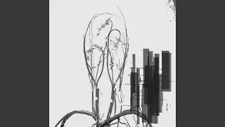 Wireman