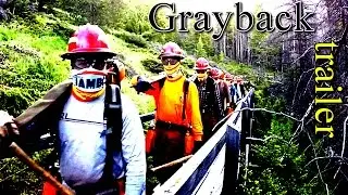 Grayback Forestry. . .  trailer