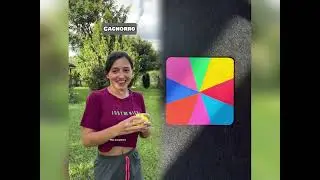 🤣👌👌👌2025 pov Must-Watch Crazy Clips Compilation #humor #fypシ #pov #fyp #foryou 😍😜