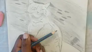 Drawing of a cute Cat