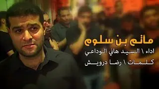 سيد هاني الوداعي - ليلة سابع محرم مأتم بن سلوم 1438هج - الفقرة الثانية