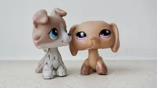 LPS: До встречи, Элейн... ║ Эпизод 5 - 
