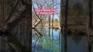 Discover a hidden wonder in Wimberley, TX! ✨ SAVE & SHARE #traveltexashillcountry #texas  #wimberley