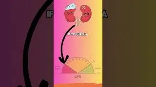 Understanding GFR Test: A Key Indicator of Kidney Function #GFRTestExplained
