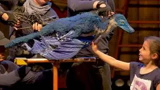 'Dinosaur World Live' at Children's Theatre Company