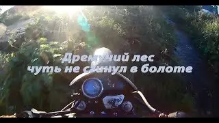 Эндуро. дремучий лес. Fighter TSR 250