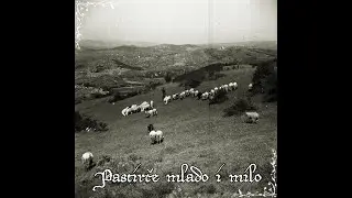 Pastirče (acapella) Plitvička jezera 2019