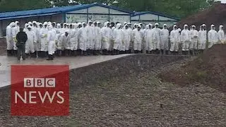 China ship capsize: Forensic teams gather at Yangtze site - BBC News