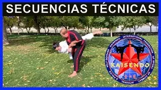 SECUENCIAS TÉCNICAS DE KAISENDO