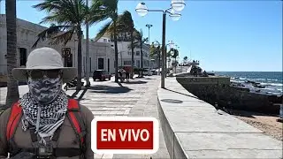 El Pulpo de Mazatlán (y de la CDMX) está en vivo