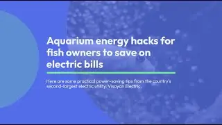 Aquarium hacks for fish owners to save on electric bills