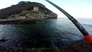 Pesca bolognese a torre paola