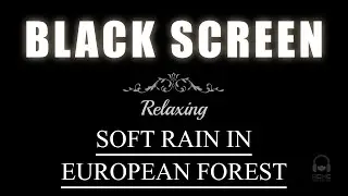 Soft Rain In European Forest for Deep Sleep | Black Screen | 10 Hours