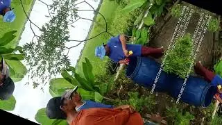 Pengendalian WBC #Demak#POPT