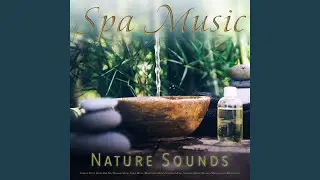 Peaceful Forest Spa Music