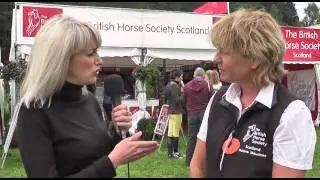 BHS - British Horse Society