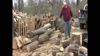 FINALLY TREE SERVICE WOOD CUT UP FINISHED WITH MY STHIL MS 290 FARM BOSS