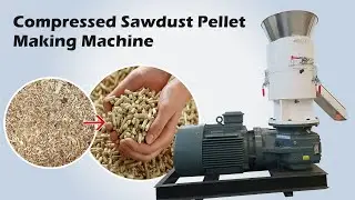 Sawdust pellet making machine | How to make compressed wood pellets?