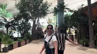 SeaWorld #yasisland #abudhabi : Dolphins aur Flamingos ne dil jeet liya 🐬🦩#hindi #vlog #travel #2026
