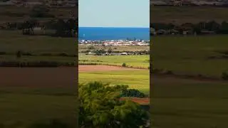 The view from the hummock volcano Bargara QLD 😬🔥
