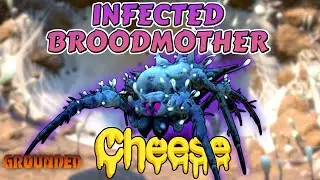 Infected Broodmother Cheese??? #grounded #ibm #groundedguide #groundedupdate #infectedbroodmother