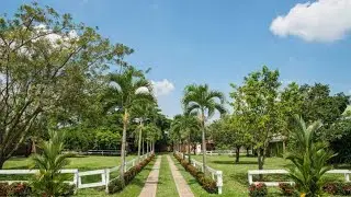 Paisagismo para Sítios e Chácaras | 72 Ideias de Paisagismo para Chácaras e Sítios | Decoração