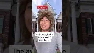 Как братства зарабатывают деньги и сколько 👀 #шорты