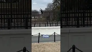 Secret Service stop man climbing White House fence