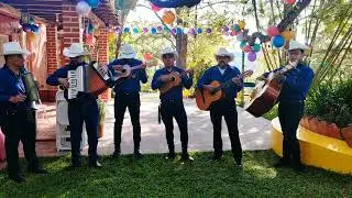 Mi Elenita - Conjunto Musical Catrachos Del SUR 