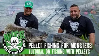 Pellet fishing for monsters - Tutorial on fishing with pellets