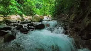 Soothing River Flow Ambience for Sleep & Peace | Natural Water Sounds for Stress Relief & Relaxing