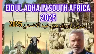 EID-UL-ADHA 2025 IN SOUTH AFRICA |explorer on the move | pakisani in south africa |travel