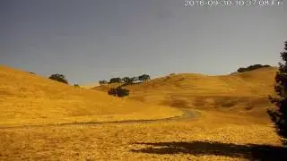Macedo Ranch Live Stream
