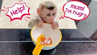 Monkey Puka took the bowl to find Mom asking for food