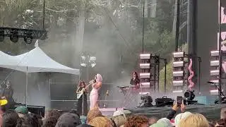 Marina | Butterfly