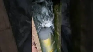 Floating Hydro Turbine