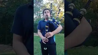 Synthetic chanter reed 26 profile