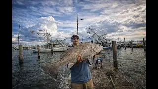 GIANT FISH AT ****SECRET FISH DOCK** **Arroyo city