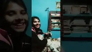 OP AAKRITI KHANNA! MOTU! KALU! #OPAAKRITI #MOTU #LOVE #RELATIONSHIP #puppies 🧿🤗💓😘😍#Roorkee #india 🇮🇳