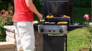 IGS Grilling - BBQ Butler - Big Mouth Grill