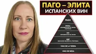 САМАЯ ВЫСШАЯ КАТЕГОРИЯ ВИН 