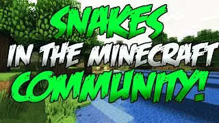Snakes in The Minecraft Community