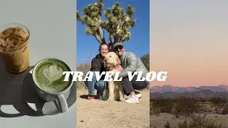 joshua tree travel vlog | what we did, where we ate & where we stayed